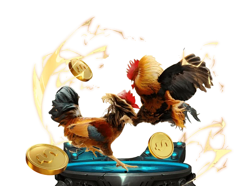 Các loại kèo đá gà phổ biến